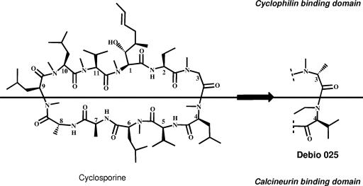 FIG. 1.