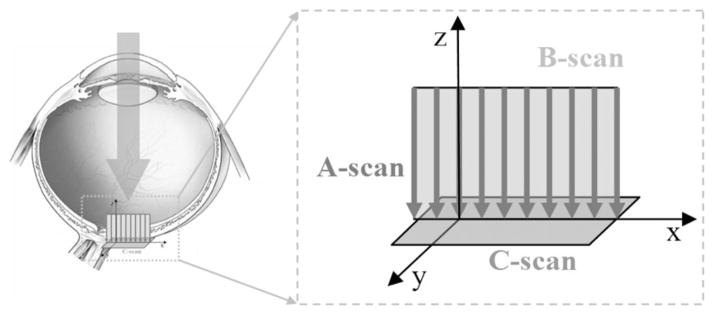 Fig. 7