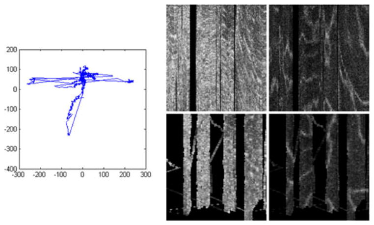 Fig. 10