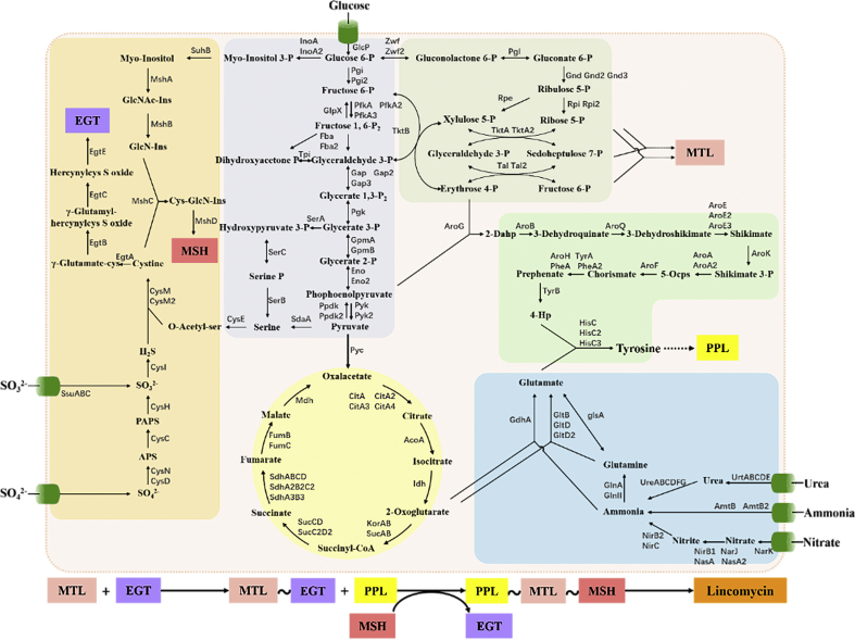 Fig. 2