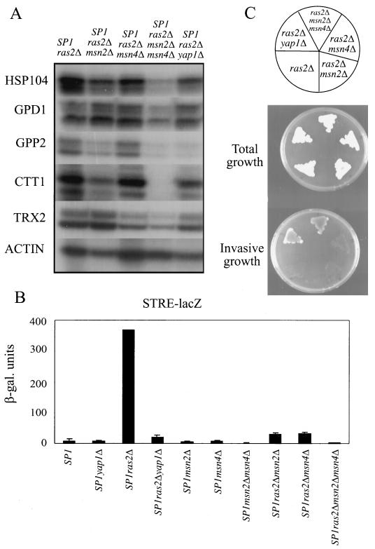 FIG. 5