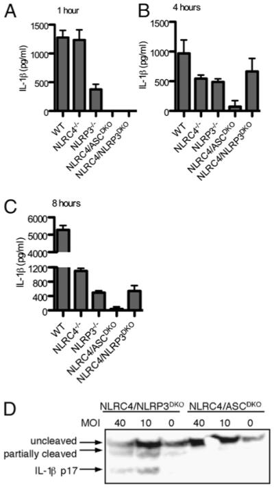 FIGURE 1