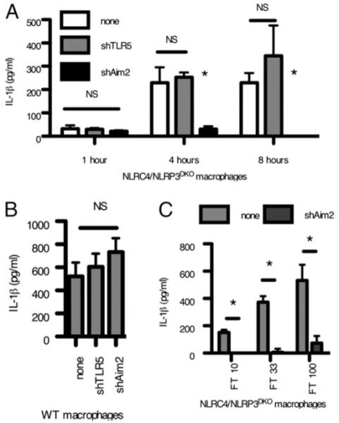 FIGURE 4