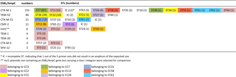 FIG 1