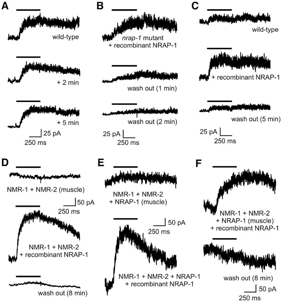 Figure 6.