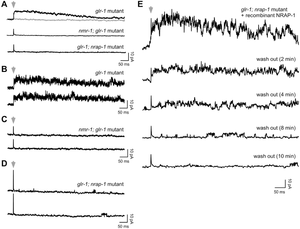 Figure 7.