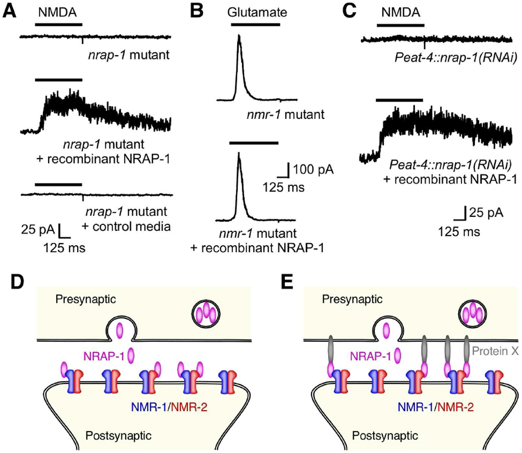 Figure 5.