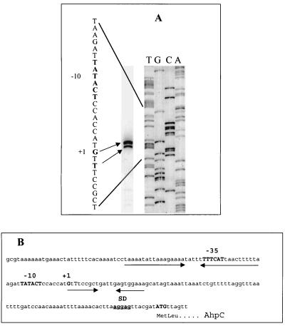 FIG. 8