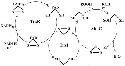 FIG. 9