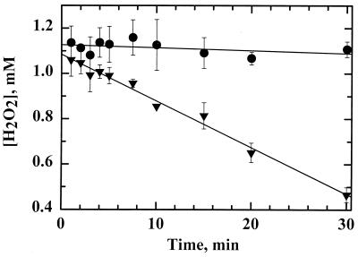 FIG. 6