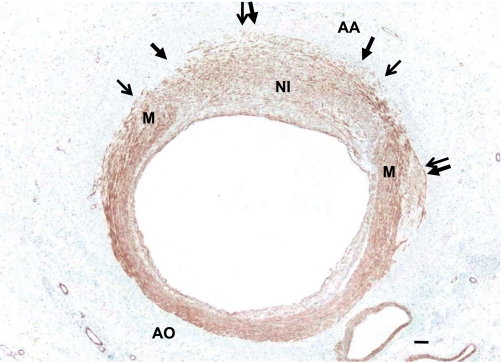 Fig. 7.