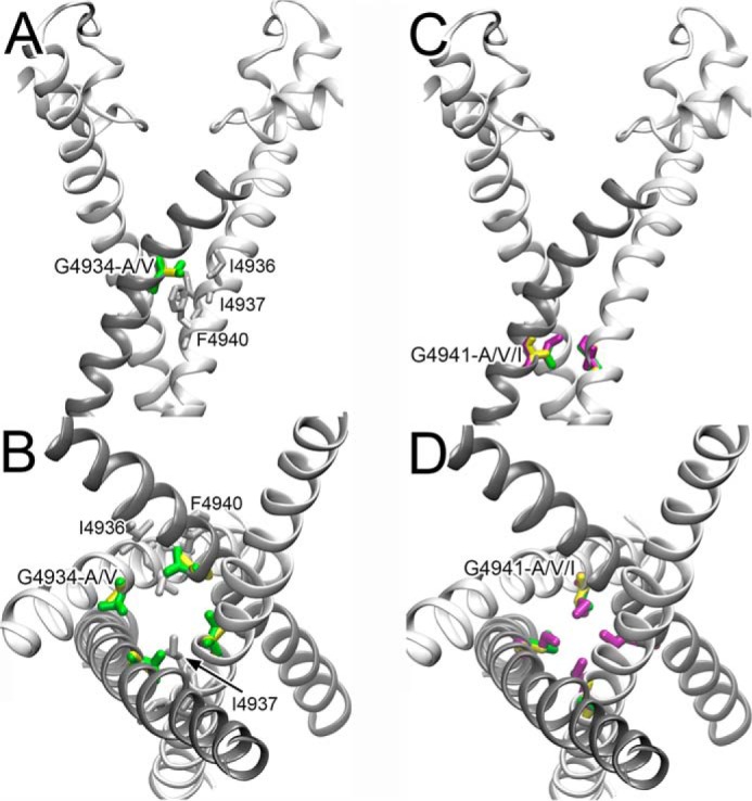 FIGURE 6.