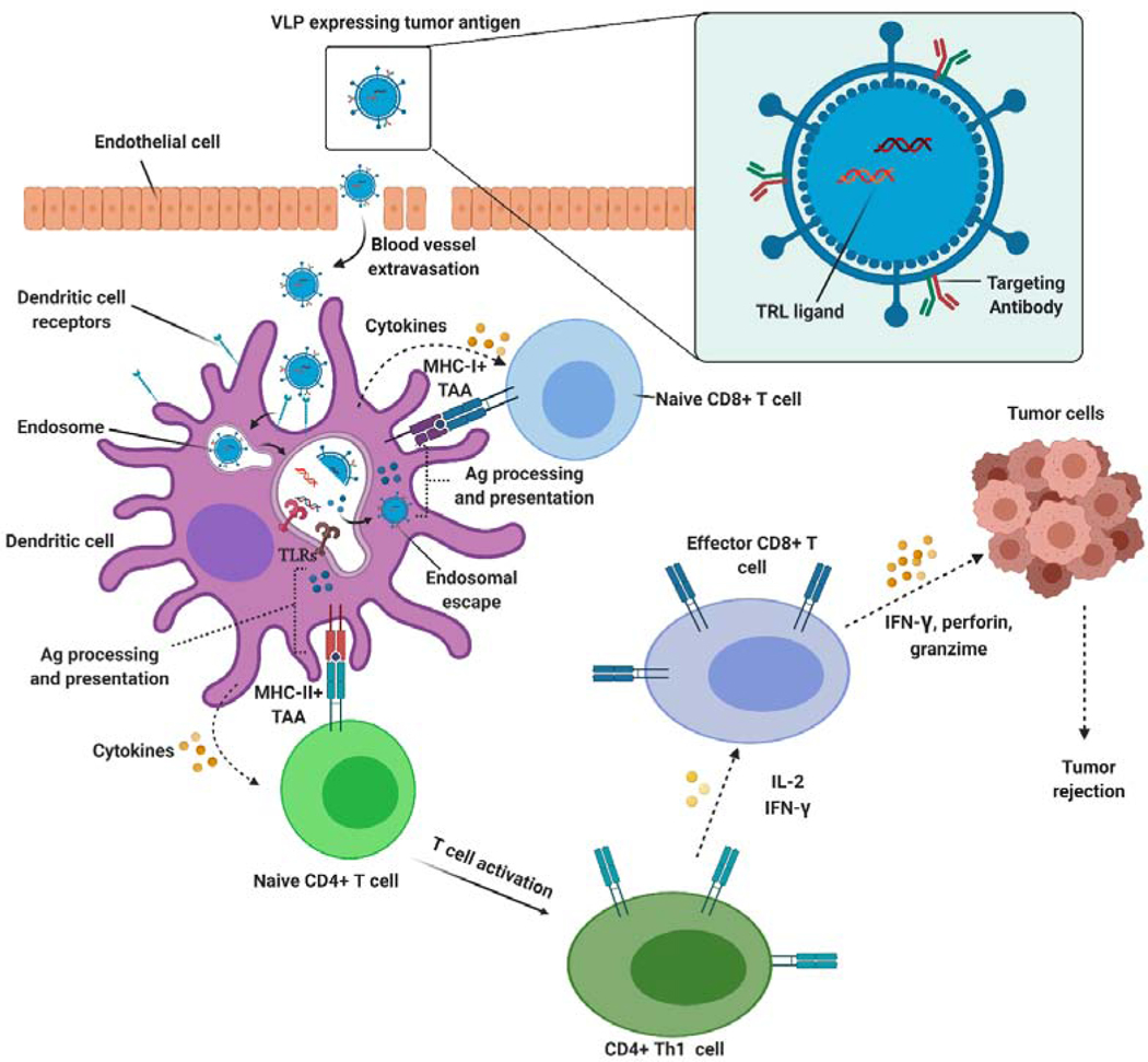Figure 15.