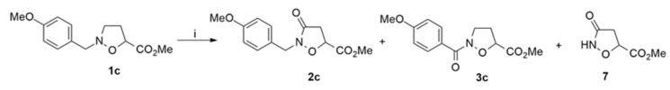 Scheme 8
