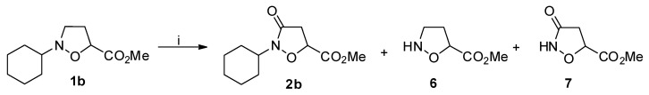 Scheme 7