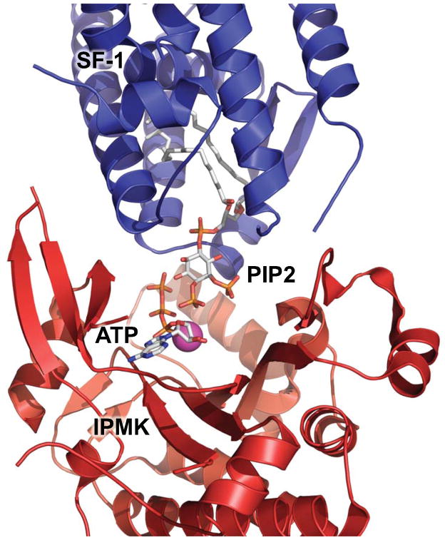 Fig. 4