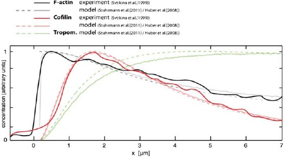 Figure. 33.