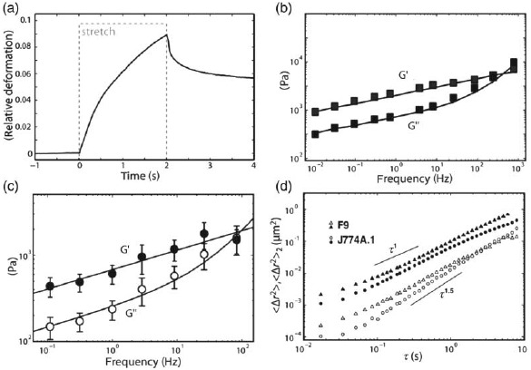 Figure 21.