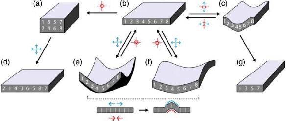 Figure 46.