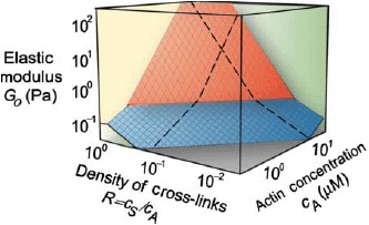 Figure. 10.