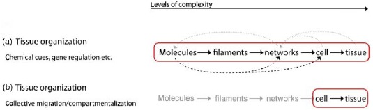 Figure 50.