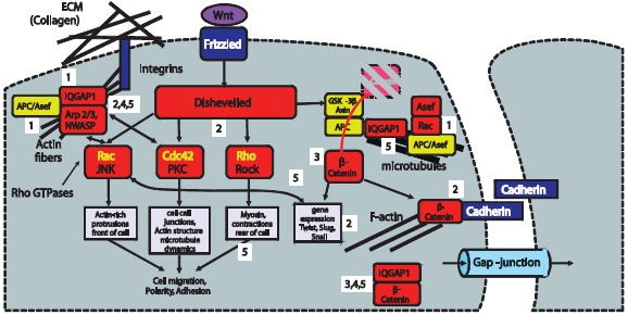 Figure 47.