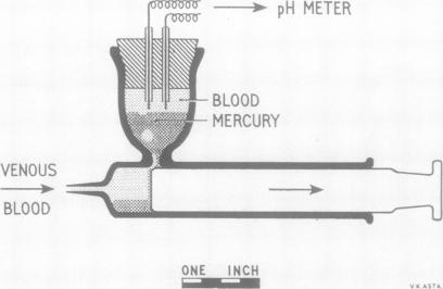 graphic file with name thorax00040-0087-a.jpg