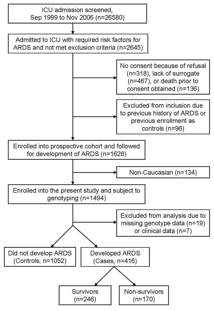 FIGURE 1