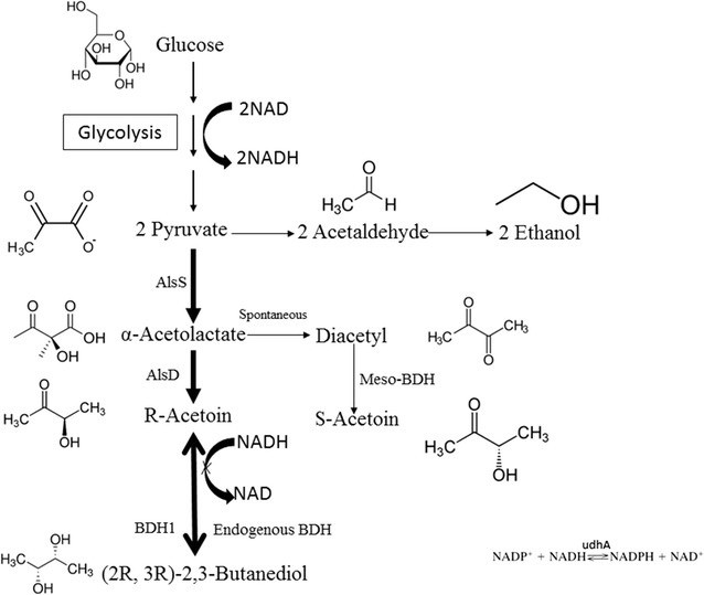 Fig. 1