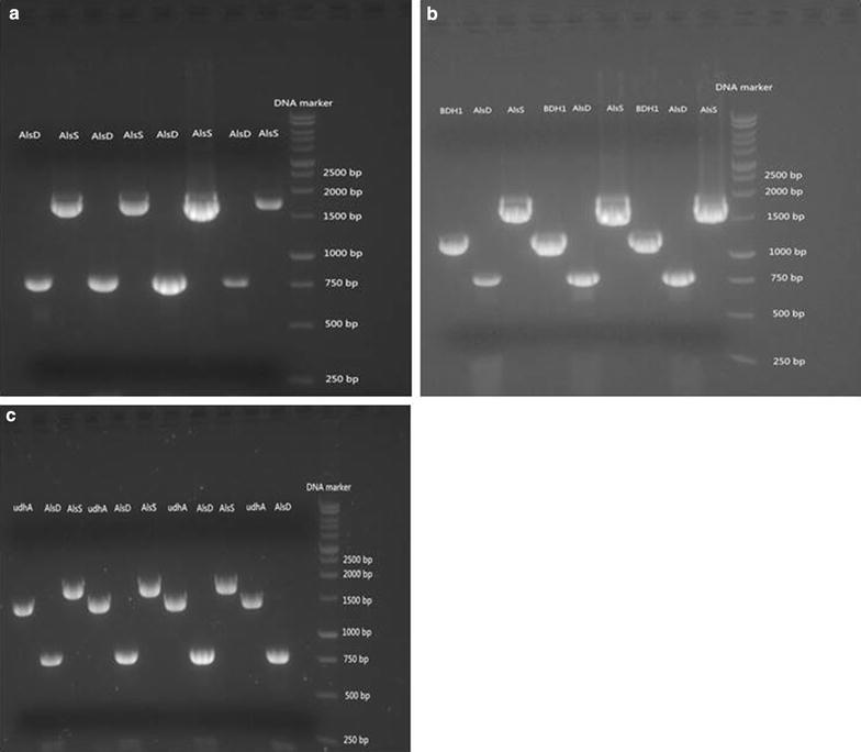 Fig. 2