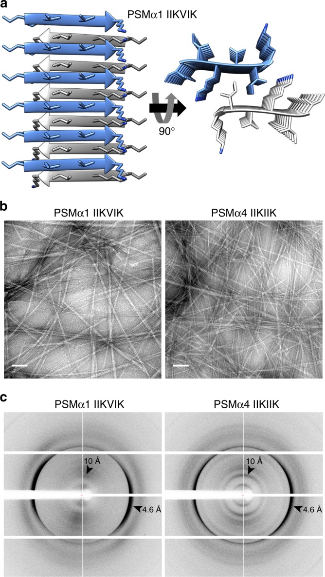 Fig. 2