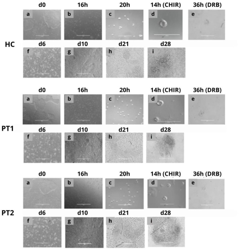 Fig 3