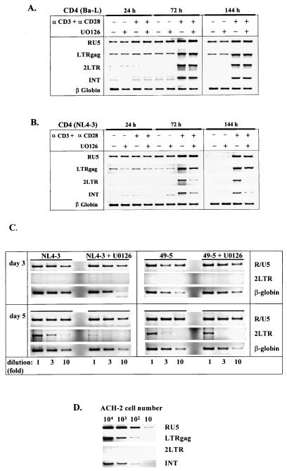 FIG. 5