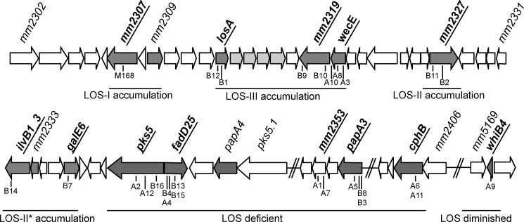 FIGURE 1.