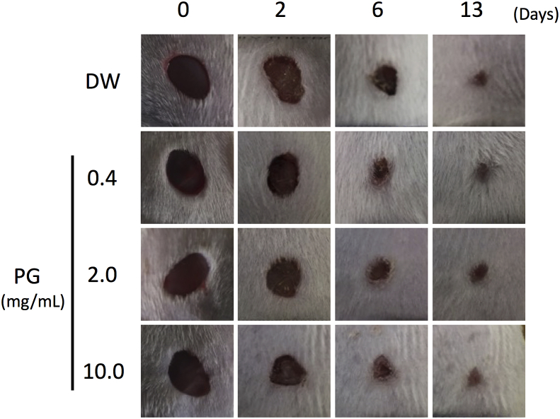 Fig. 6