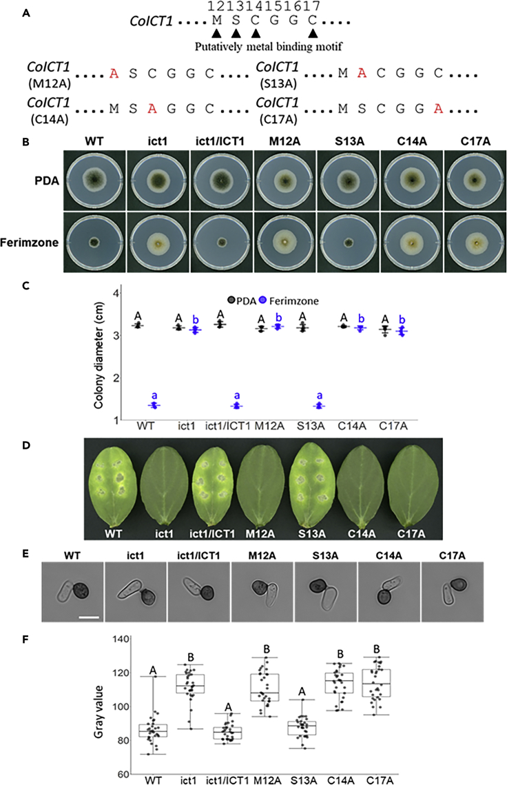 Figure 4