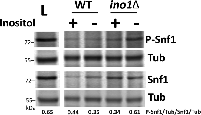 Figure 3