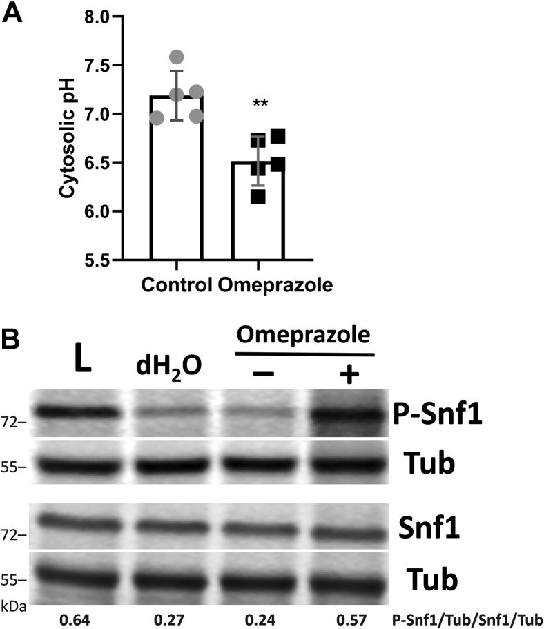 Figure 9