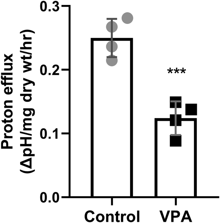 Figure 7