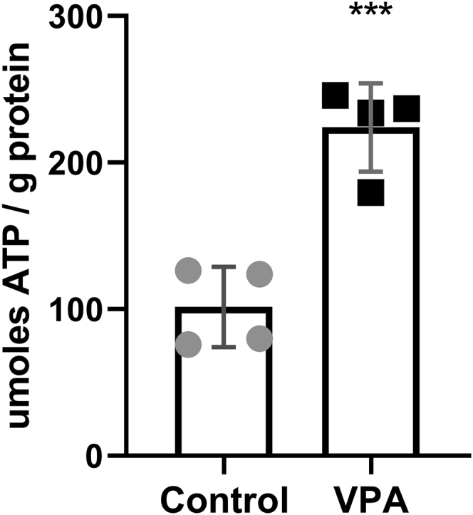 Figure 5