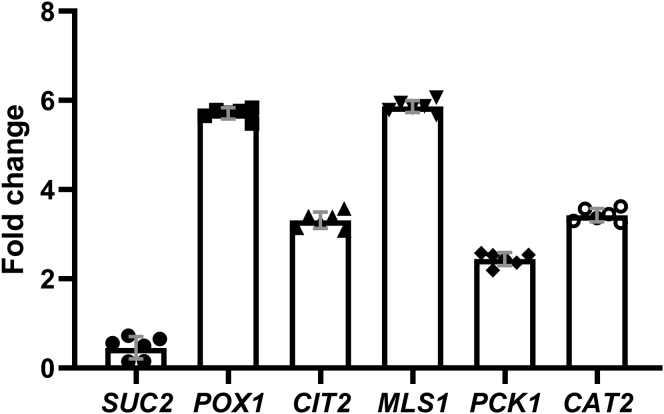 Figure 1