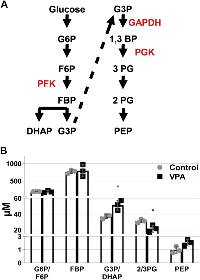 Figure 10