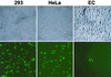 FIG. 6.