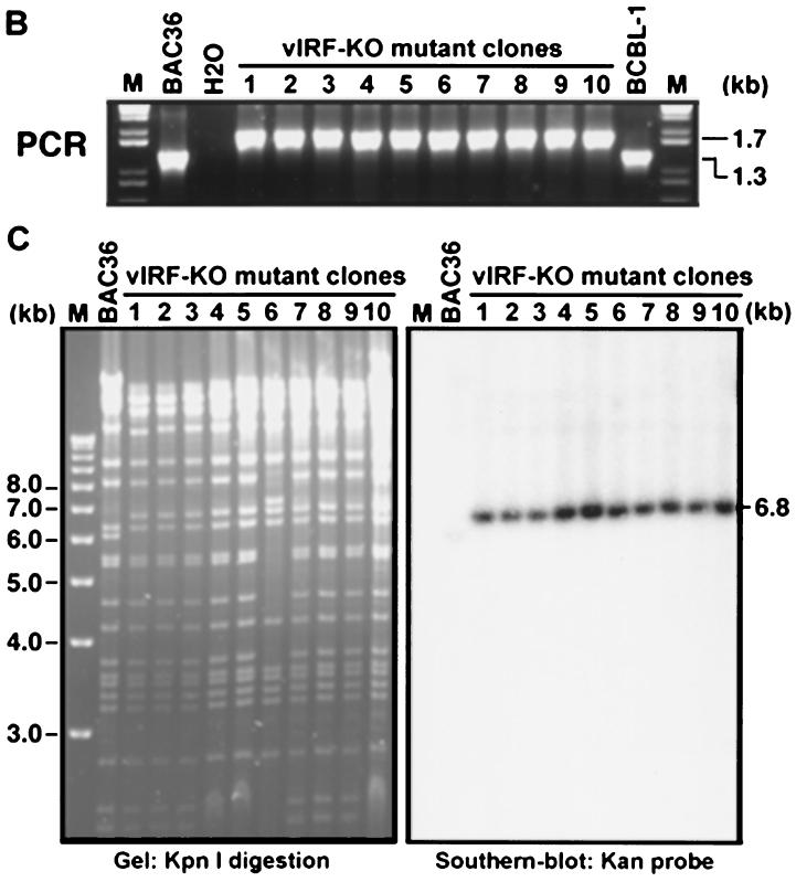 FIG. 7.