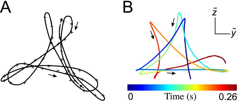 Fig. S5.