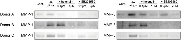 Fig 5