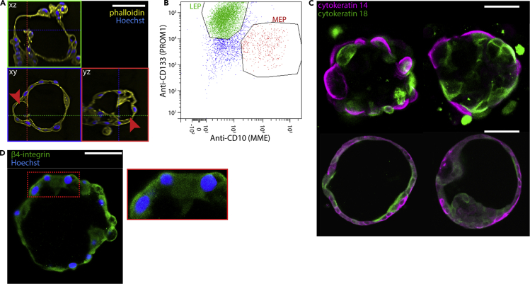 Figure 2