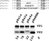 FIG. 6.