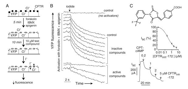 Fig. (2)