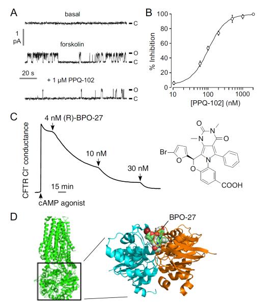 Fig. (6)